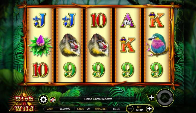 Rich N Wild