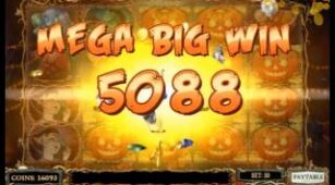 Happy Halloween max win video 0