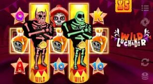 Wild Luchador max win video 0