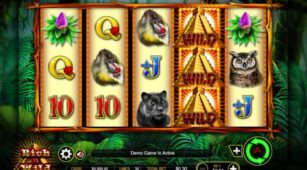 Rich N Wild demo play free 1