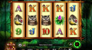 Rich N Wild demo play free 3