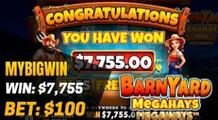 Barnyard Megahays Megaways max win video 2
